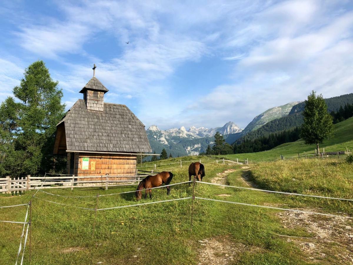 Holiday House Franc Srednja Vas v Bohinju Eksteriør billede